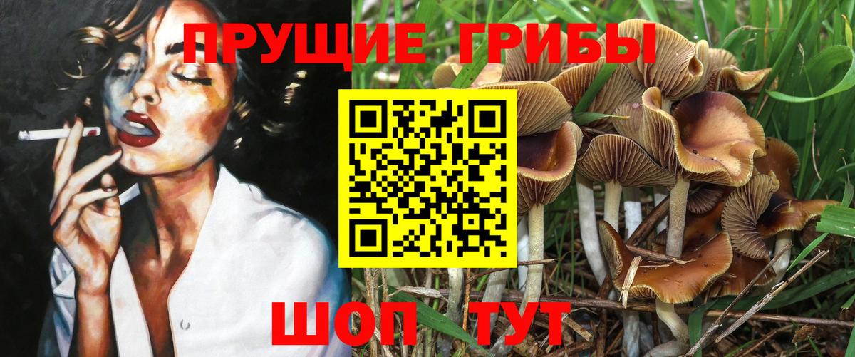 Ангарск  Галлюциногенные грибы MAGIC MUSHROOMS  Галлюциногенные грибы ЛСД  Вход с VPN 